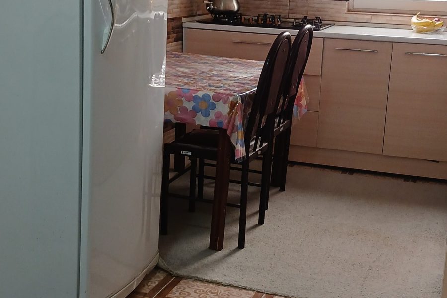بوشهر